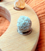 Desert Rose Celebration Ring Ornament