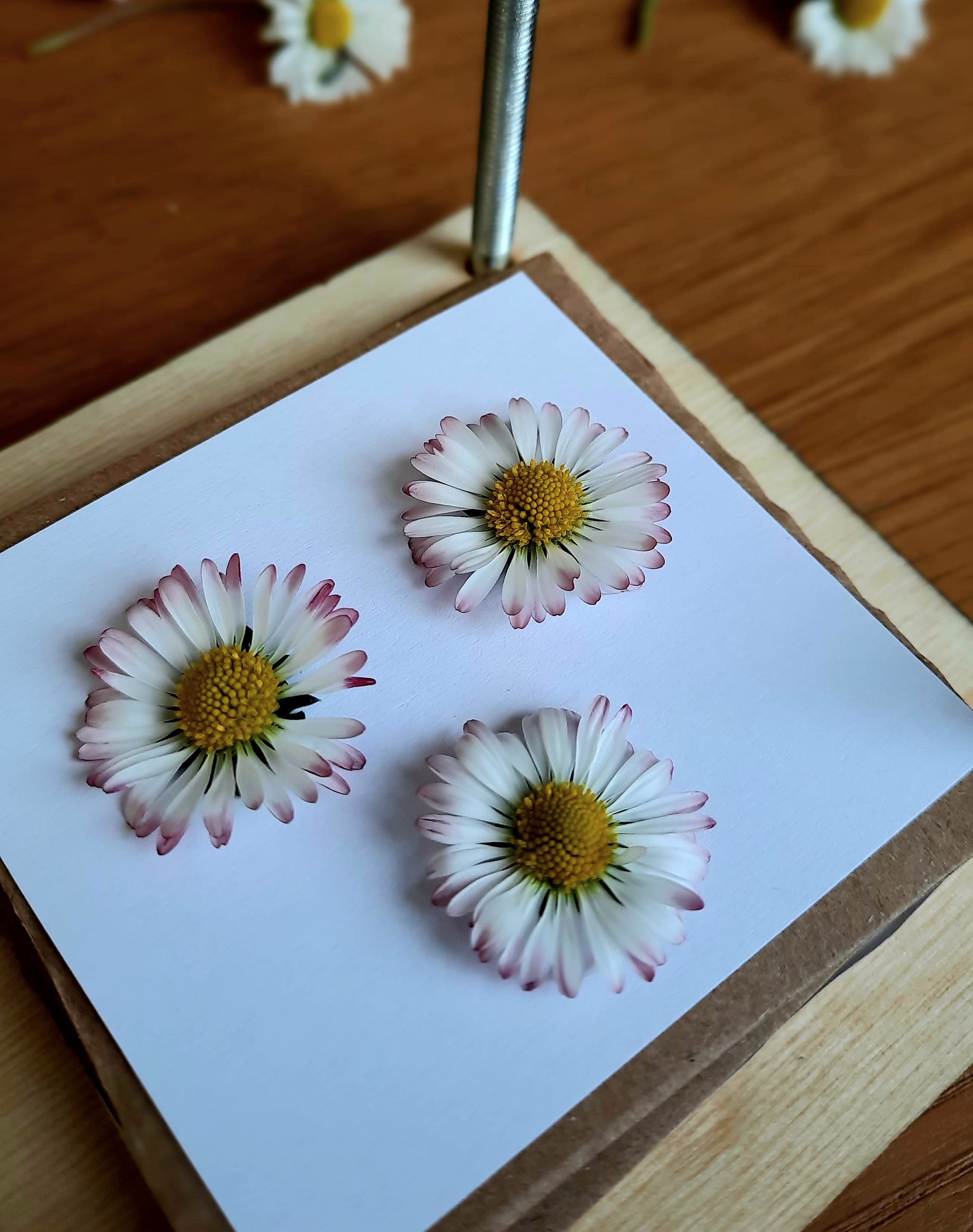 Pocket Flower Press - personalised (optional)