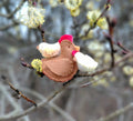 Woolfelt & Chicks