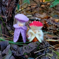 Woolfelt Amethyst Laccaria Acorn Gnome