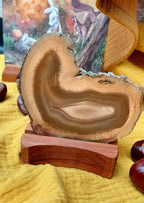Agat Slice Candle Holder - Alderwood