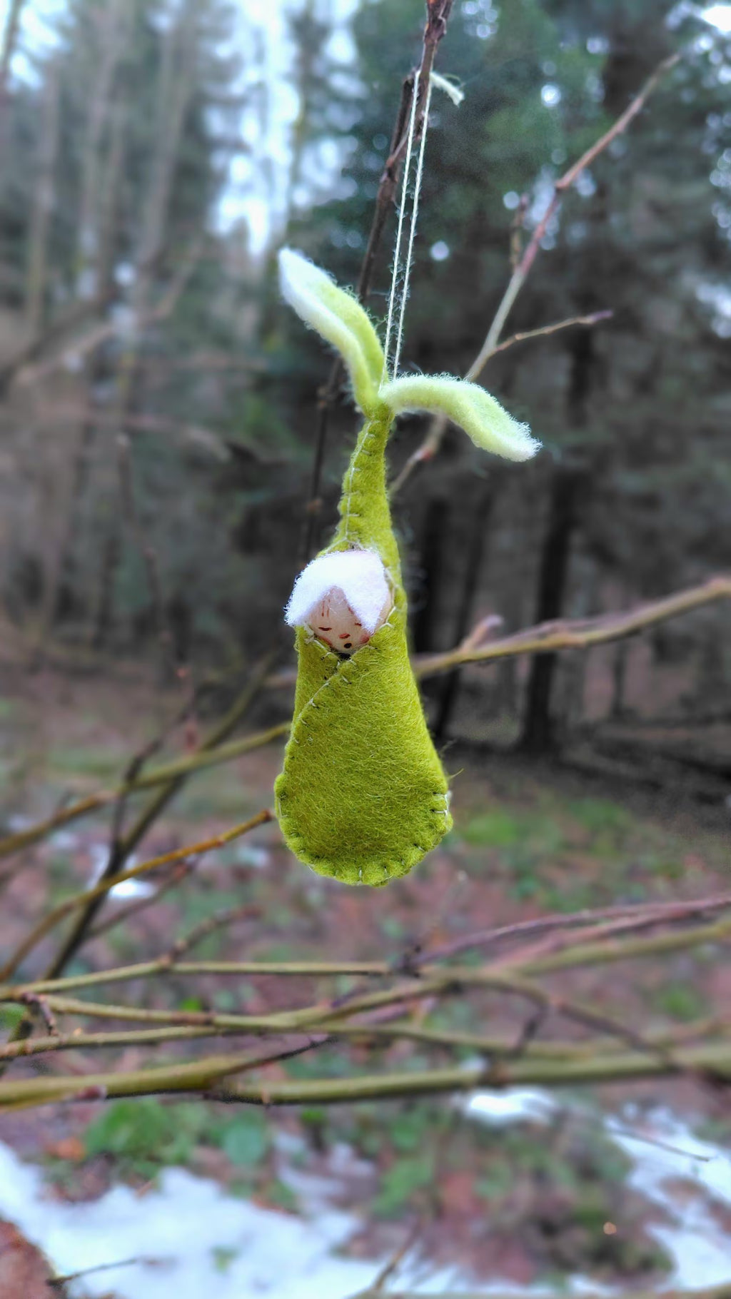 Woolfelt Sprout Babies