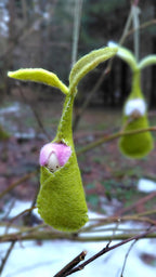 Woolfelt Sprout Babies