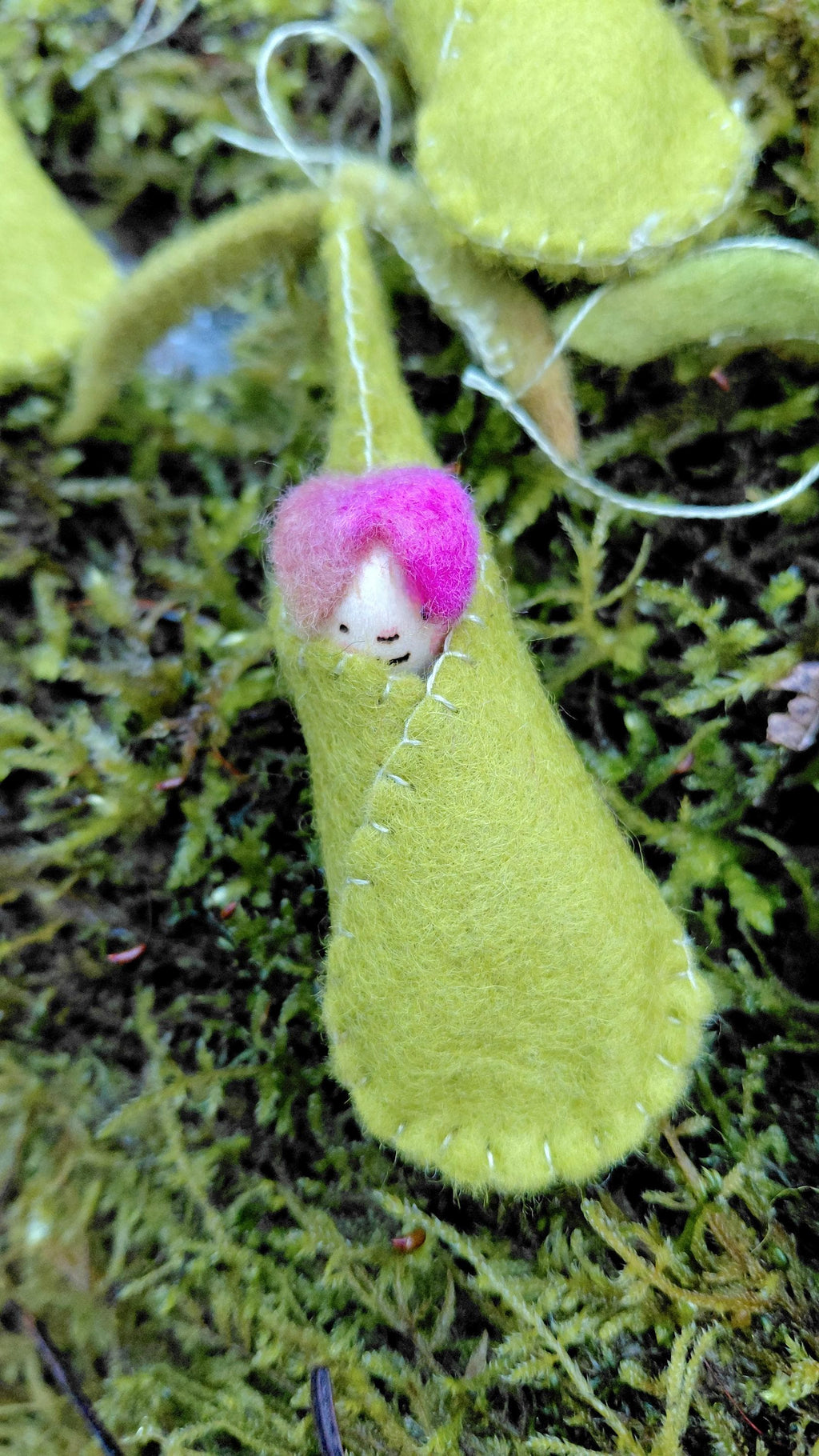 Woolfelt Sprout Babies