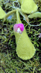Woolfelt Sprout Babies