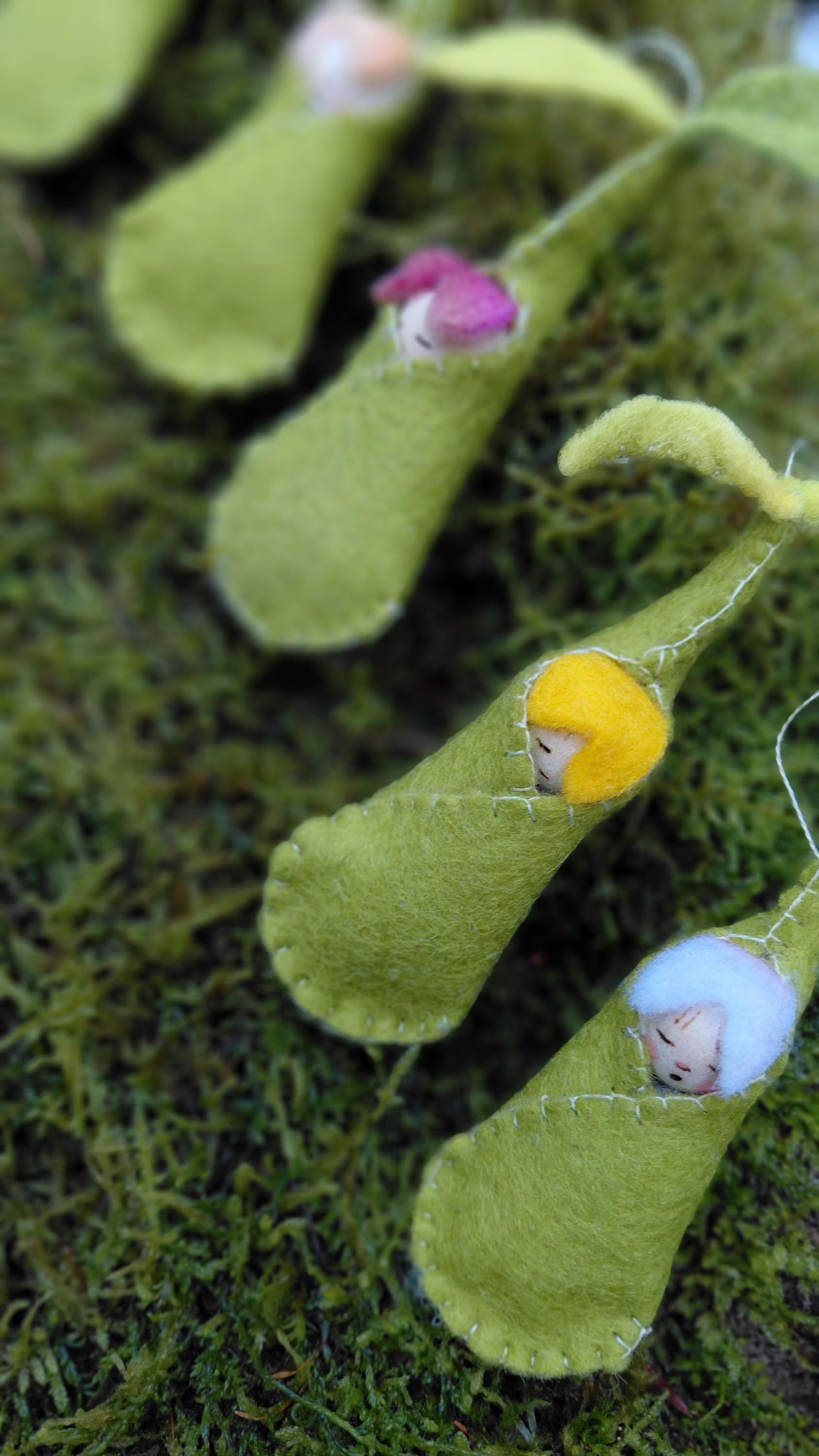 Woolfelt Sprout Babies