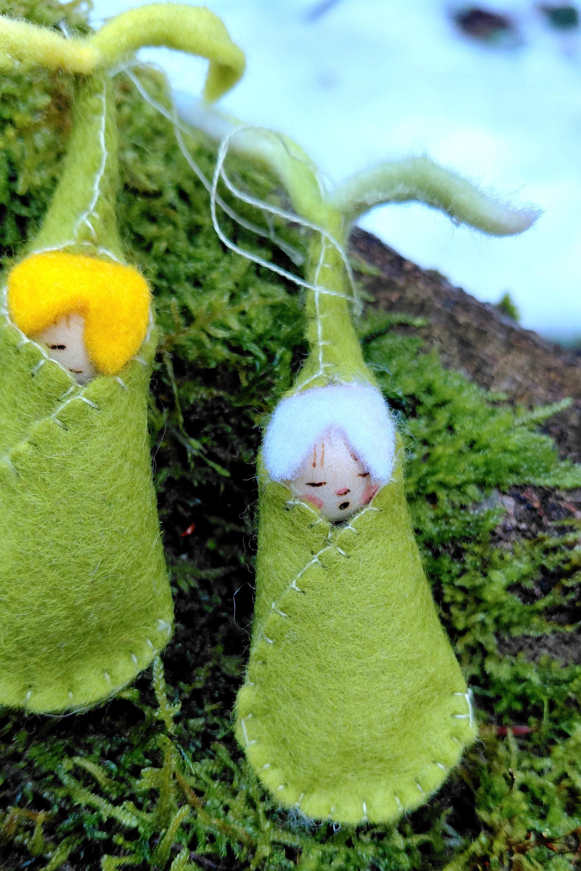 Woolfelt Sprout Babies