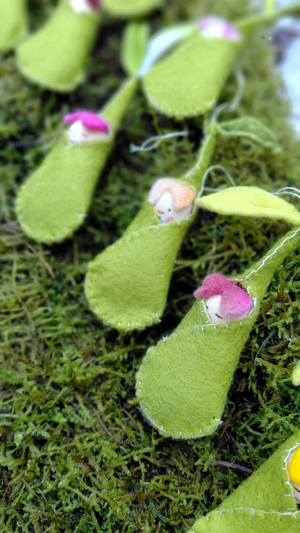 Woolfelt Sprout Babies