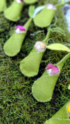Woolfelt Sprout Babies