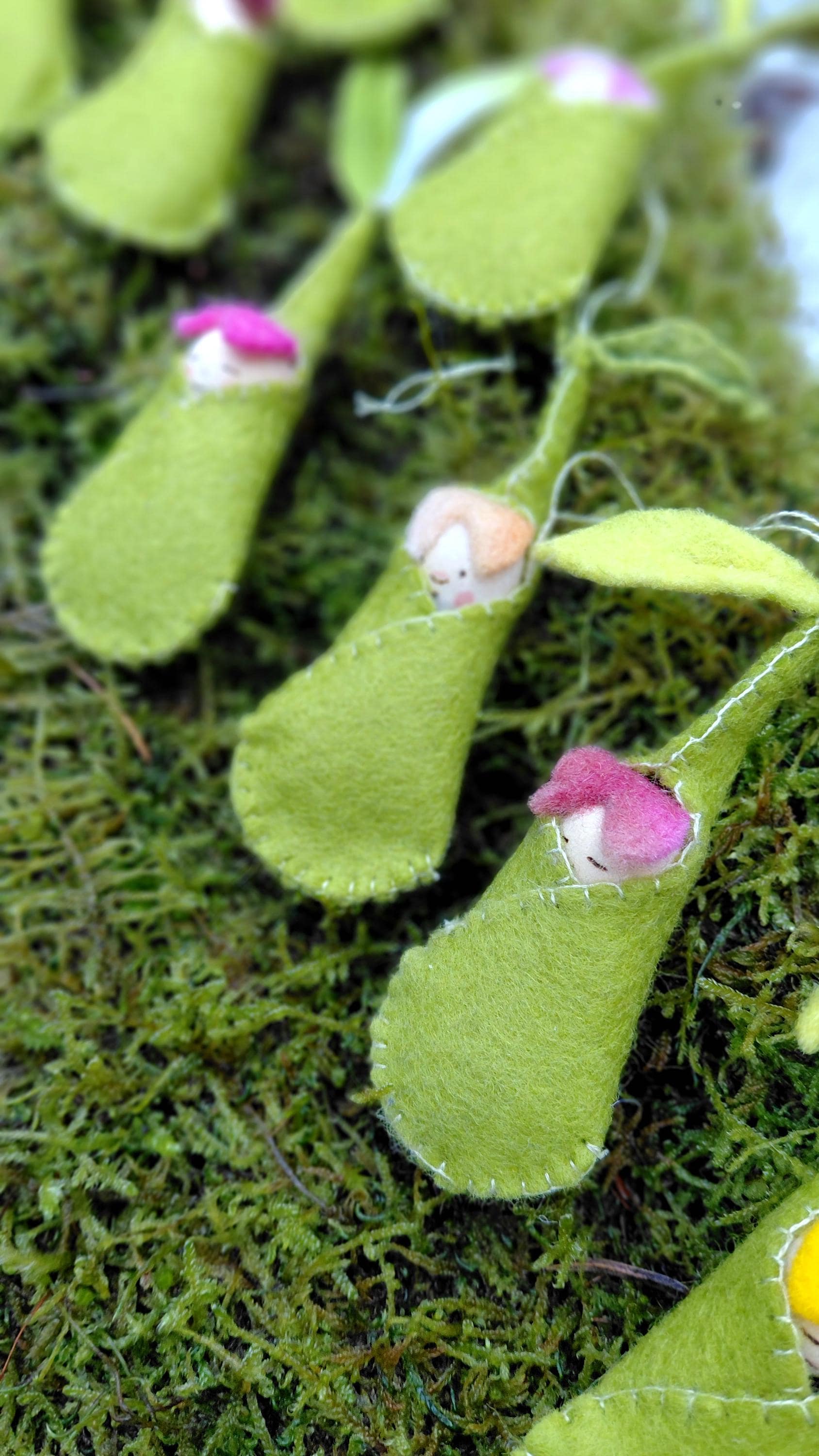 Woolfelt Sprout Babies