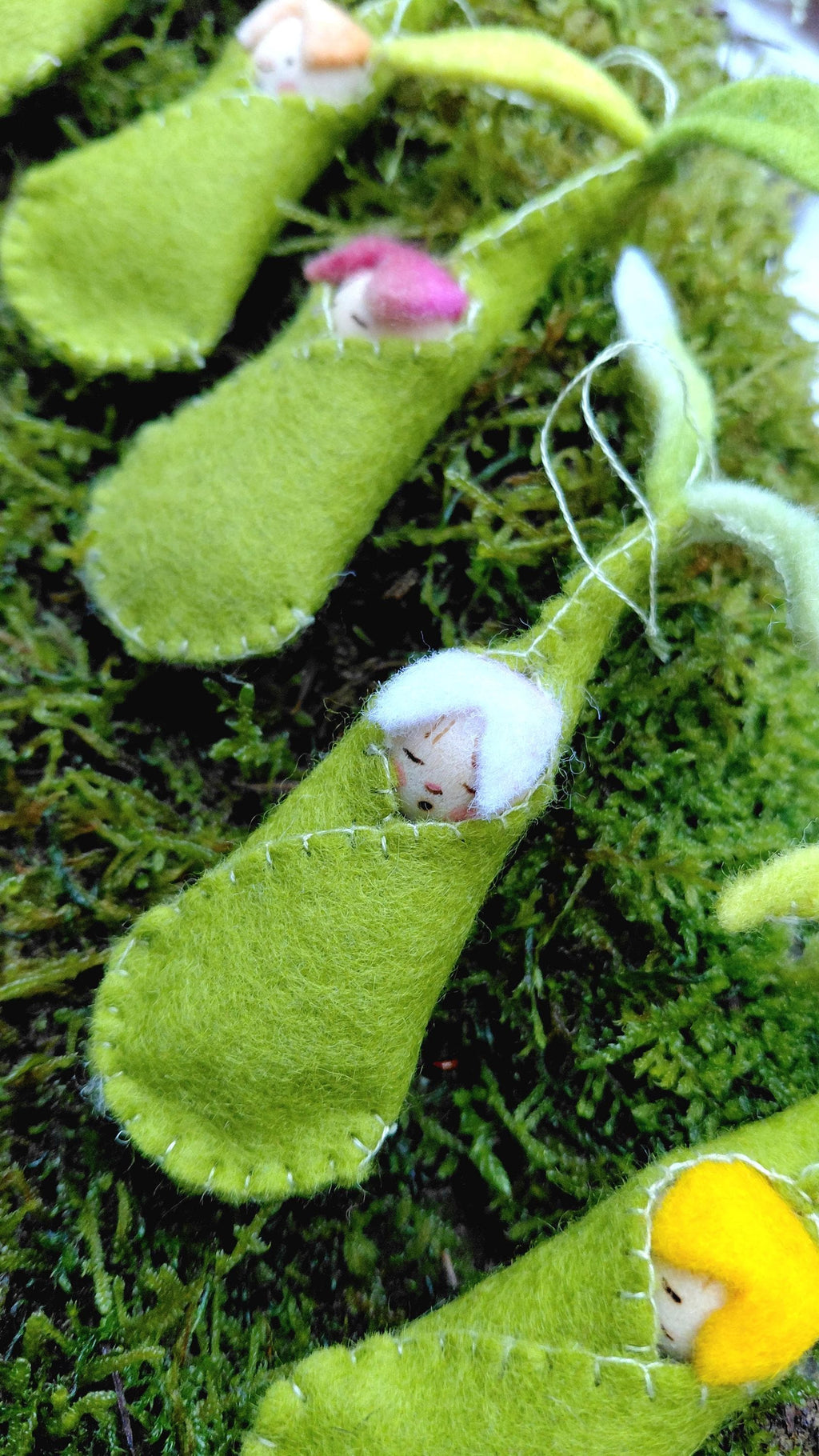 Woolfelt Sprout Babies
