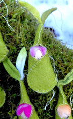 Woolfelt Sprout Babies