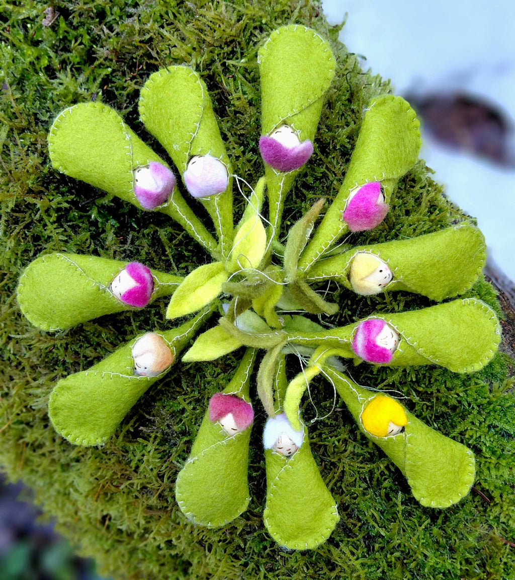 Woolfelt Sprout Babies