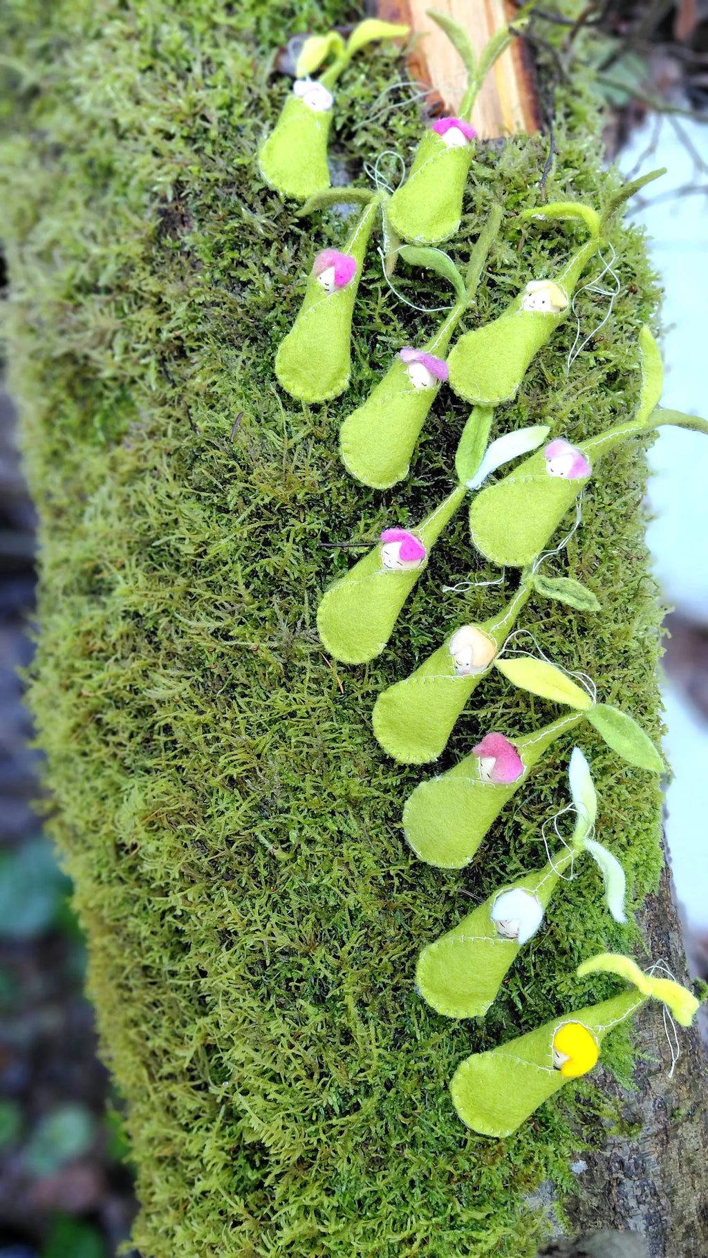 Woolfelt Sprout Babies